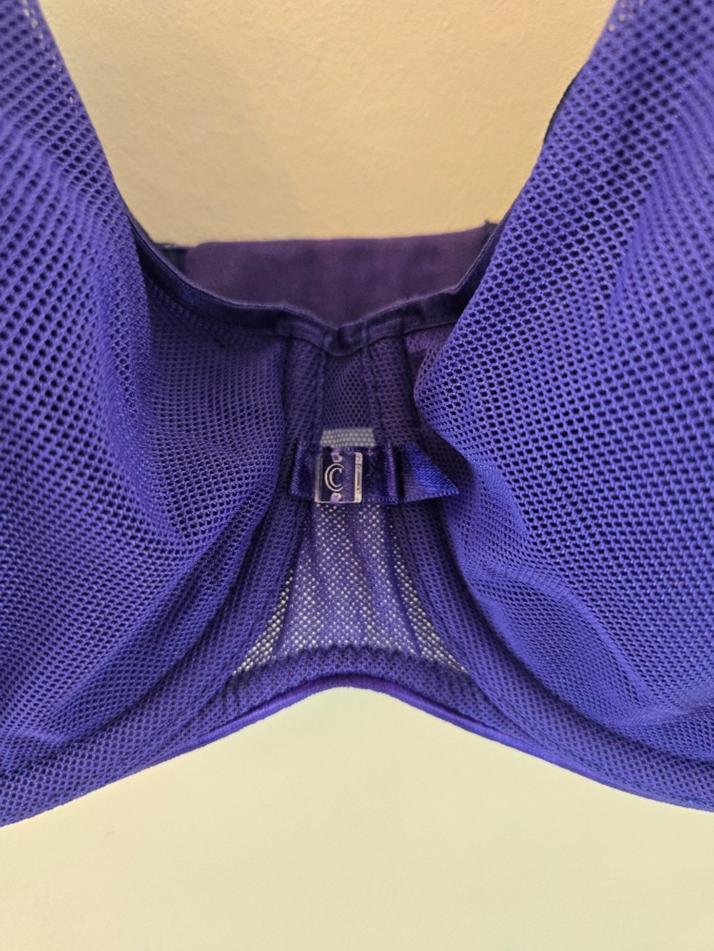 Chantelle Blue Mesh Bra - 34D/E - Picture 2 of 6
